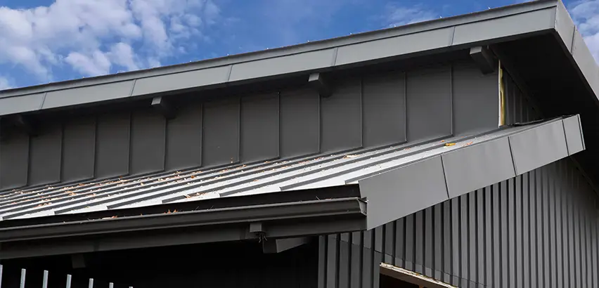 Professional Roof Eaves Installation Services in Renton, WA