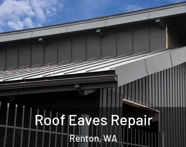  Roof Eaves Repair Renton, WA