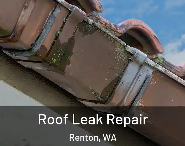  Roof Leak Repair Renton, WA
